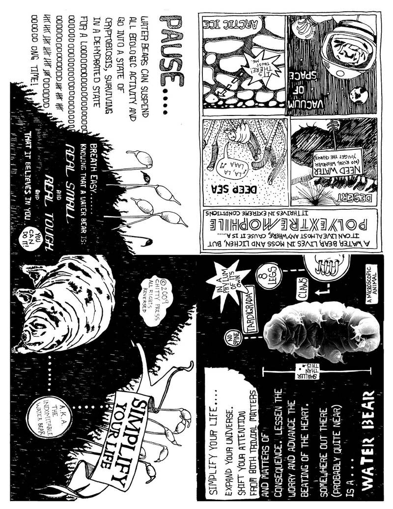 Cover of The Indomitable Water Bear